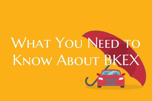 What You Need to Know About ...